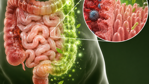 Supports Gut Recovery