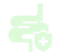 Gut Health & Digestion