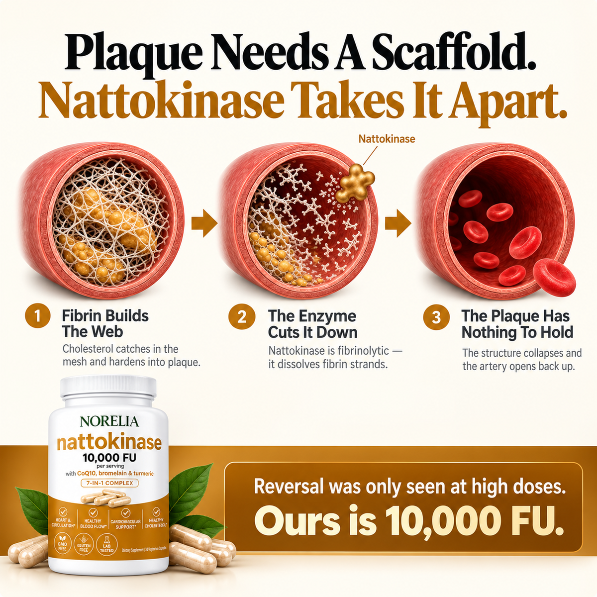 Norelia® Max Potency Nattokinase 10,000 FU